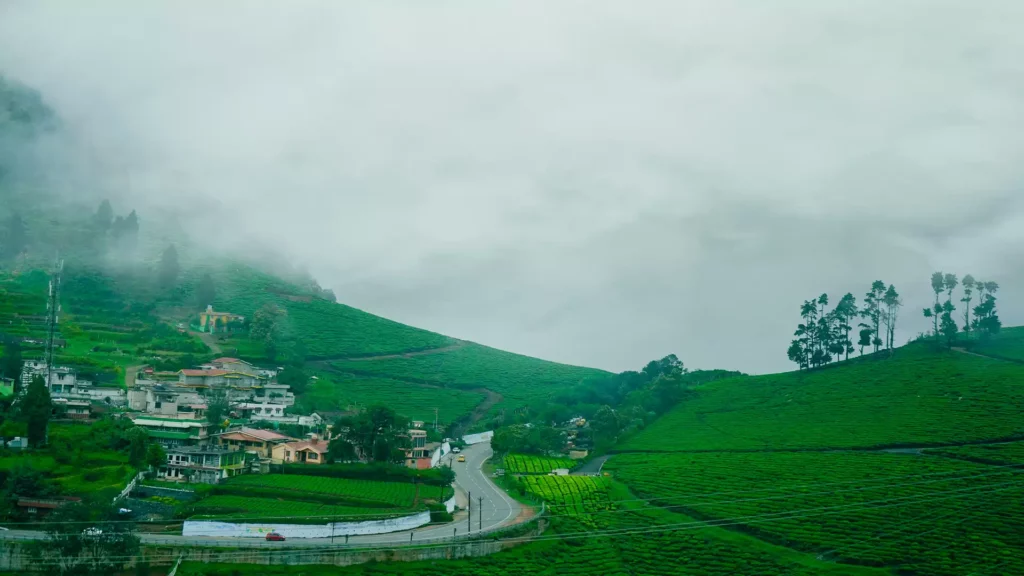 100+ most beautiful images in Ooty, Tamil Nadu, India