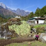 95+ most beautiful images in Khumbu Valley, Himachal Pradesh, India