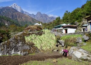 95+ most beautiful images in Khumbu Valley, Himachal Pradesh, India